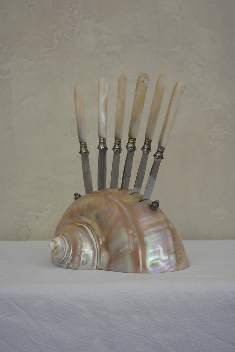 1920S SET OF SEVEN FRUIT KNIVES IN A LARGE SHELL HOLDER