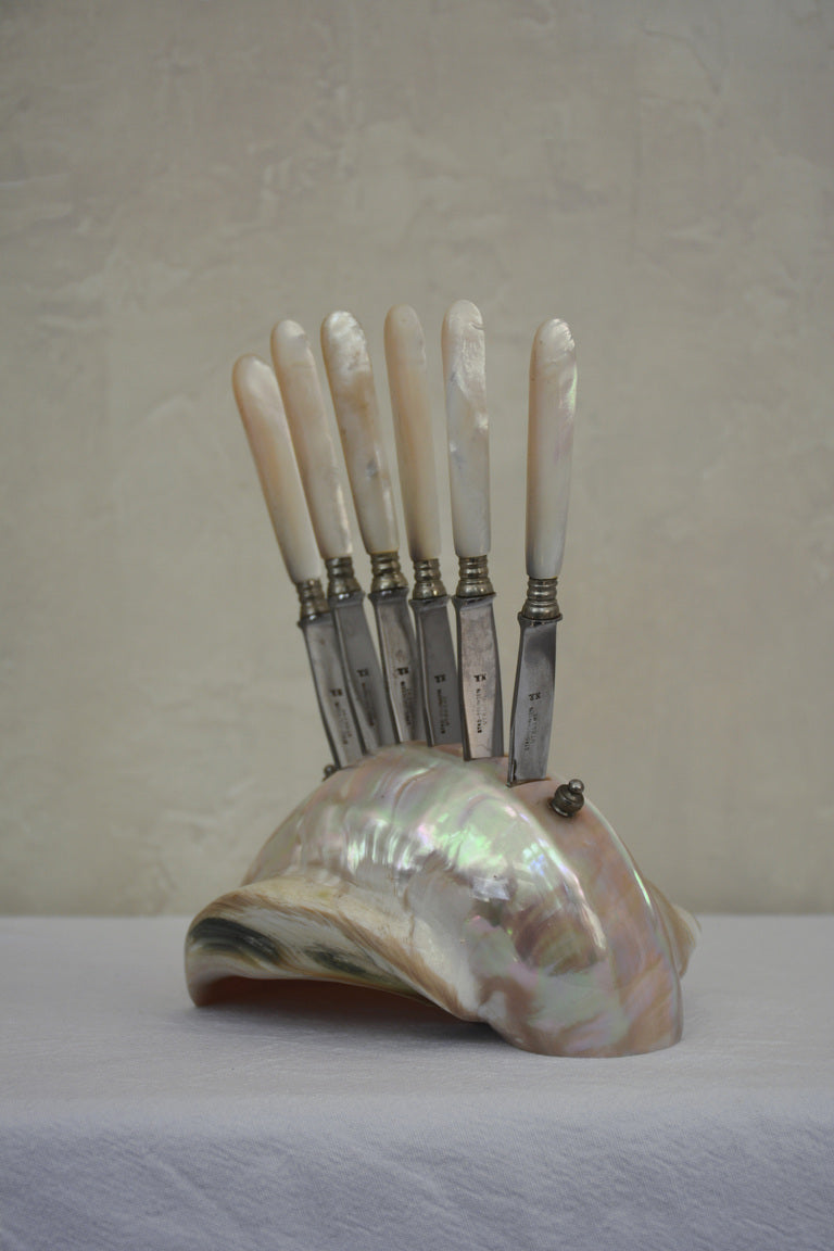 1920S SET OF SEVEN FRUIT KNIVES IN A LARGE SHELL HOLDER
