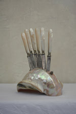 Load image into Gallery viewer, 1920S SET OF SEVEN FRUIT KNIVES IN A LARGE SHELL HOLDER
