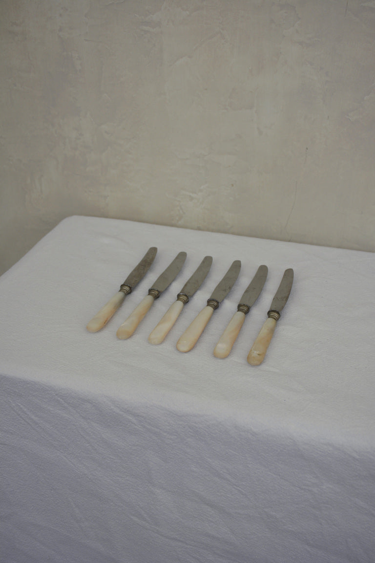 1920S SET OF SEVEN FRUIT KNIVES IN A LARGE SHELL HOLDER